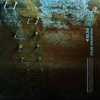 NUM - False Awakening