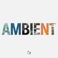 Tomasz Bednarczyk - AMBIENT