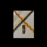 polivalente - LOVE PT