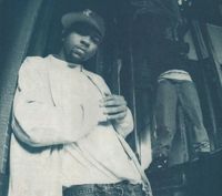 Extra Prolific - Missing Link