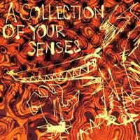 Julia 003 - A Collection of Your Senses