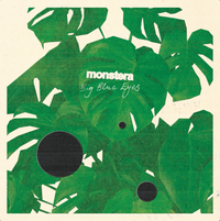 Big Blue Eyes - Monstera