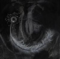 schafter - palimpsest