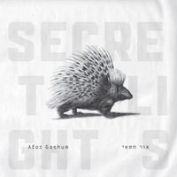 Afor Gashum - Secret Lights