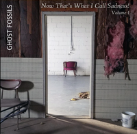 Ghost Fossils - Now That's What I Call Sadness!, Vol. 1