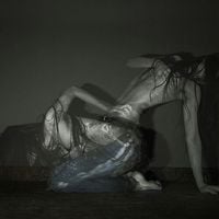 SOFIA ISELLA - Something is a shell .