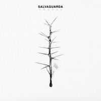 Salvaguarda - Trazas