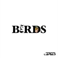 Noer the Boy - Birds