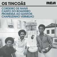 Os Tinco&atilde;s - Os Tinco&atilde;s