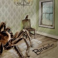 Violet Orlandi - Birdeater