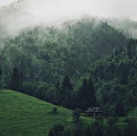 favvs - Isolation