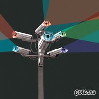 Cottons - Tight Wound Teddy