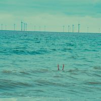 The Publics - The Tide