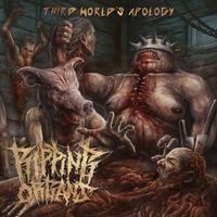 Ripping Organs - Third World's Apology