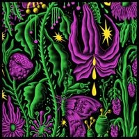 King Gizzard & The Lizard Wizard - Live in Tilburg &lsquo;25