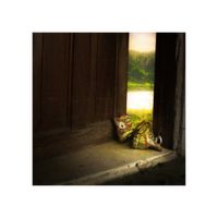 &ND - quarters