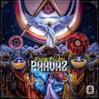 Reza Pishro - Parvaz