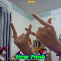 Wild Wes - New Funk