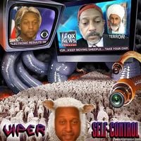Viper - Self-Control