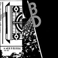 Black Dice - Natty Light