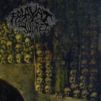 Palavat Juuret - Sairaat varjot
