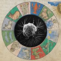 Tomas Flynn - Double Growth