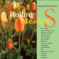 Fat Tulips - Songs About Our Past, Vol 2