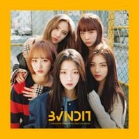 BVNDIT - BVNDIT, BE AMBITIOUS!