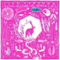 John Johanna - Seven Metal Mountains