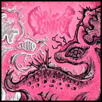 Osmiini - A bocajarro