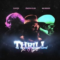 S&eacute;bastien Tellier - Thrill of the Night
