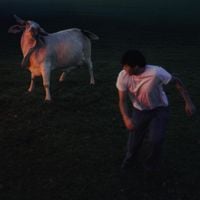 fin peach - kill the bull