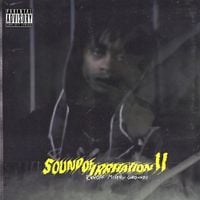 Sybyr - Sound of Irritation II: Runoff Misery Grounds
