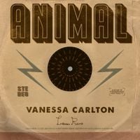 Vanessa Carlton - Animal