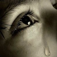 rexv2 - cry