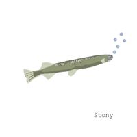 Willebrant - Stony