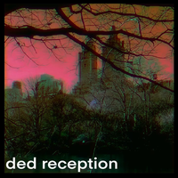 Ded Reception - sorry (4 u)