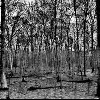 Twighlight - Hollowed Out Heart