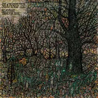 Alanna Thornburgh - Shapeshifter