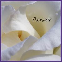 Dax Flame - Flower