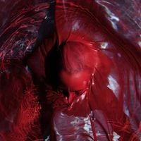 Blackwater Holylight - Not Here Not Gone