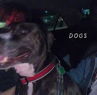 Better Place - DOGS