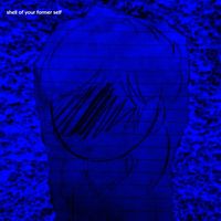 FORMICRUZ - Shell of Your Former Self