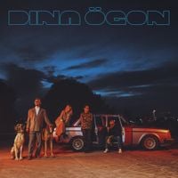 Dina &Ouml;gon - M&auml;nniskobarn