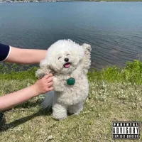 Blu - GOOD MEN DIE LIKE DOGS
