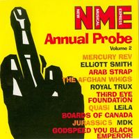 Various Artists - Annual Probe Volume 2