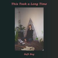 Soft Boy - This Took a Long Time