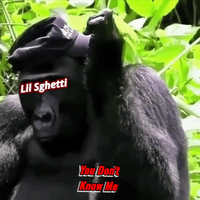 Lil Sghetti - You Don't Know Me