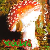 Incubus - Fungus Amongus