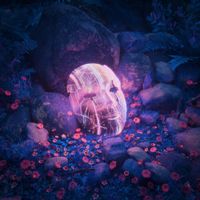 Solene - Mask of Glass